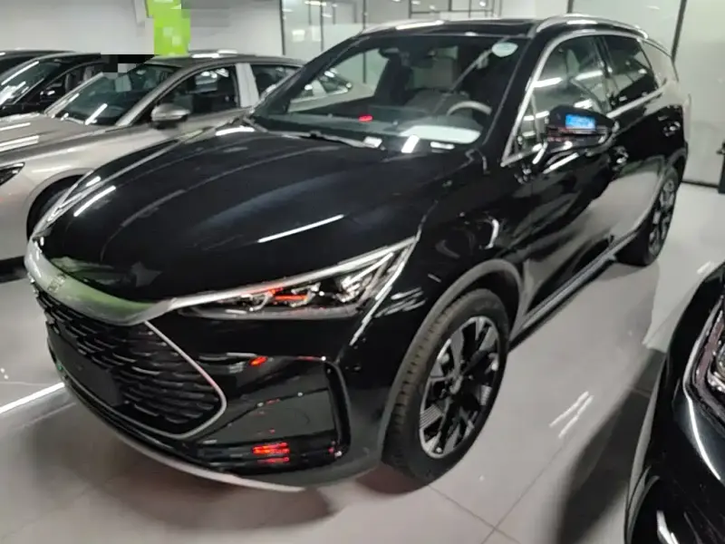 BYD Tang New Energy, 2024