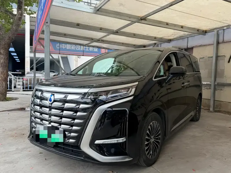 Denza D9, 2023