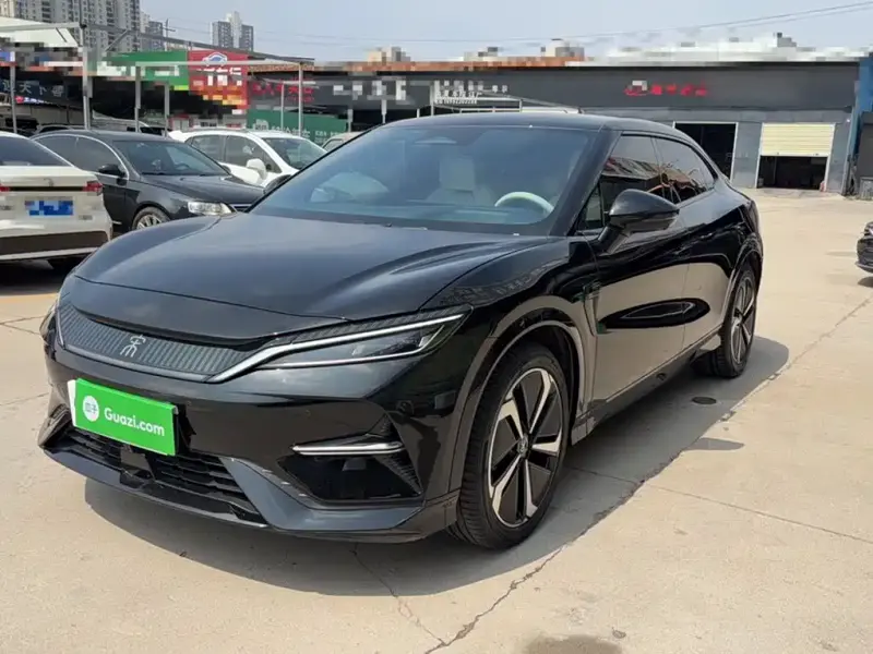 BYD L EV, 2024
