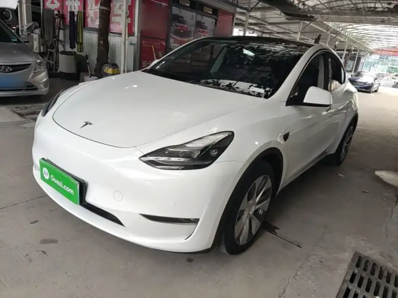 Tesla Model Y, 2021