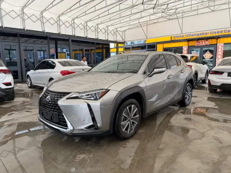 Lexus UX New Energy, 2021