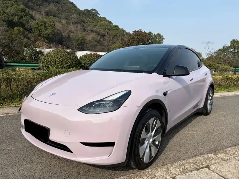 Tesla Model Y, 2022