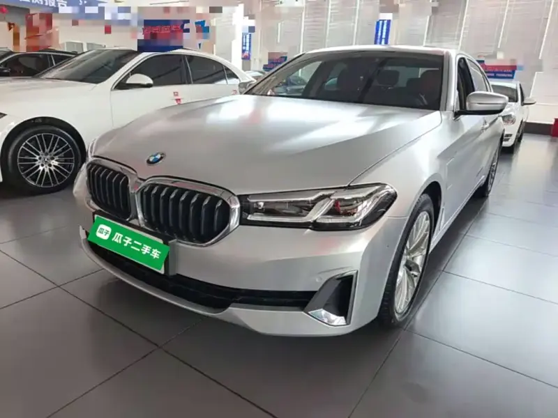 BMW 5 Series New Energy, 2020