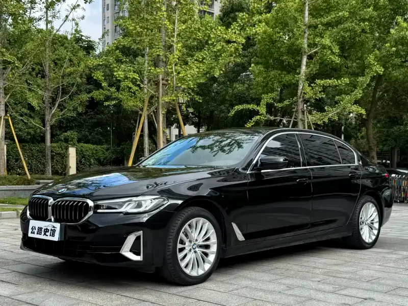 BMW 5 Series, 2020