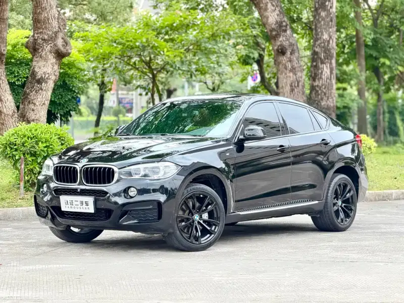 BMW X6, 2019