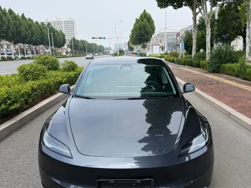 Tesla Model 3, 2025