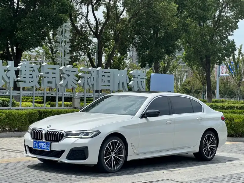 BMW 5 Series, 2021