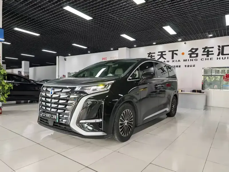 Denza D9, 2024