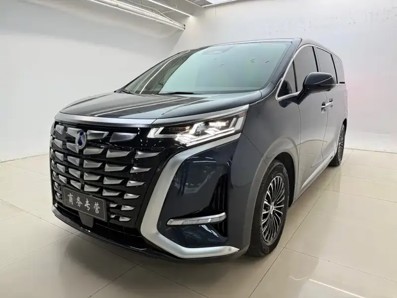 Denza D9, 2023
