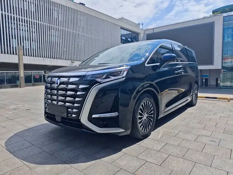 Denza D9, 2025