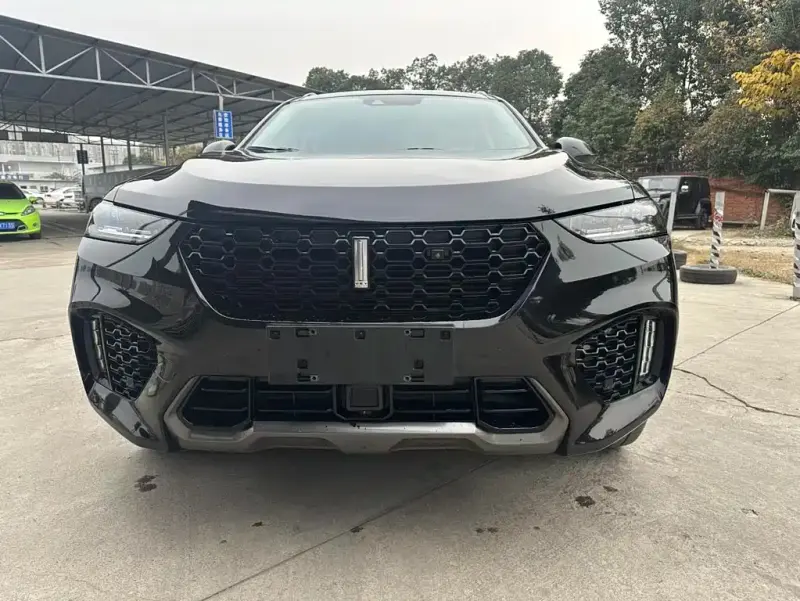 Wey VV7, 2019