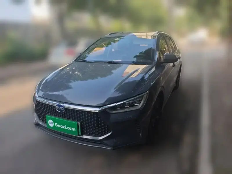 BYD e2, 2020