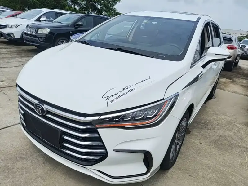 BYD MAX, 2020