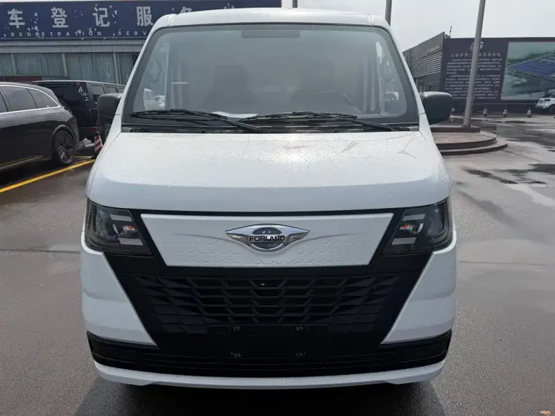 Foton EV6, 2024