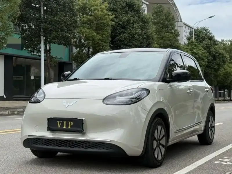 Wuling Bingo, 2024