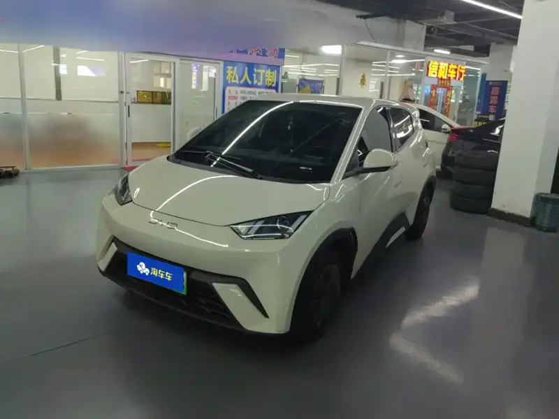 BYD Seagull, 2024