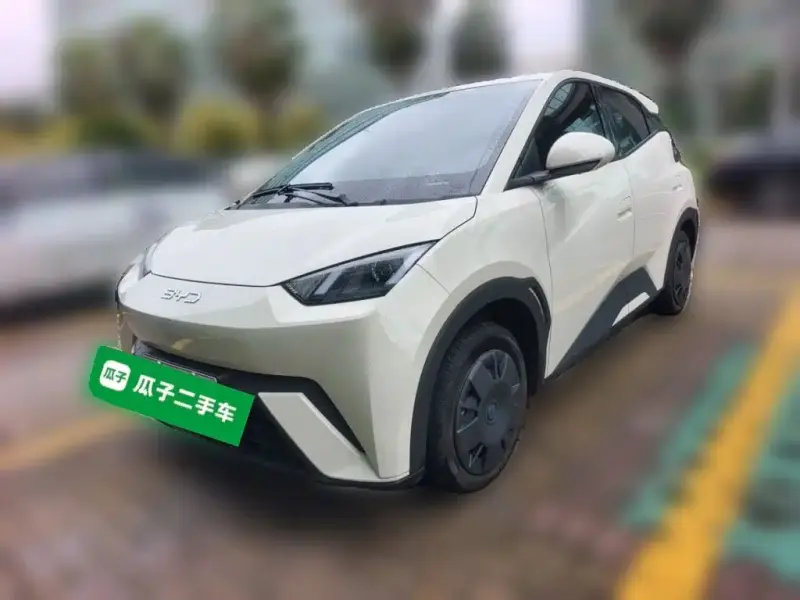 BYD Seagull, 2024