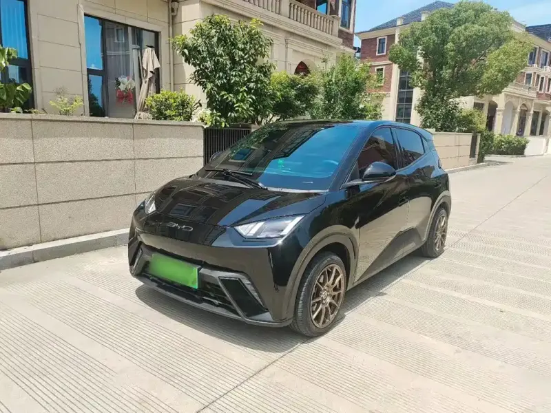BYD Seagull, 2024