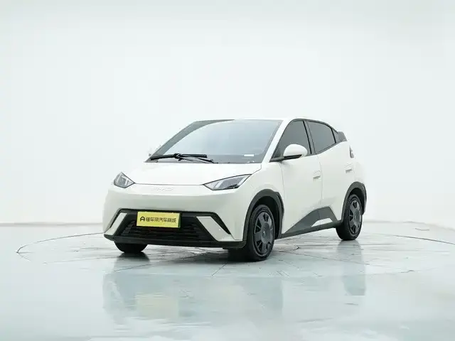 BYD Seagull, 2024