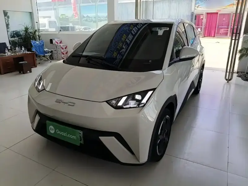 BYD Seagull, 2024