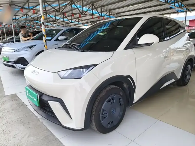 BYD Seagull, 2025