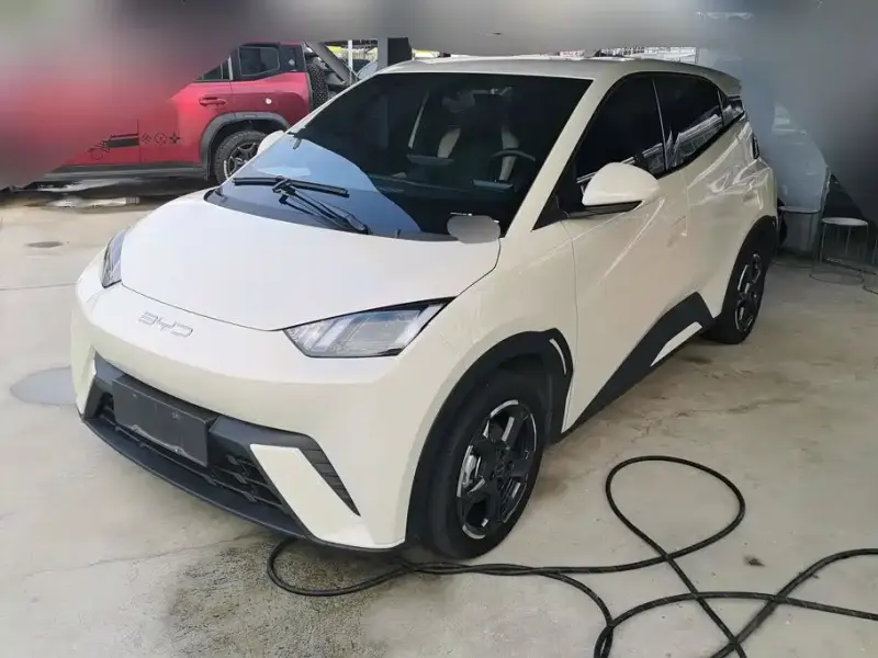 BYD Seagull, 2023
