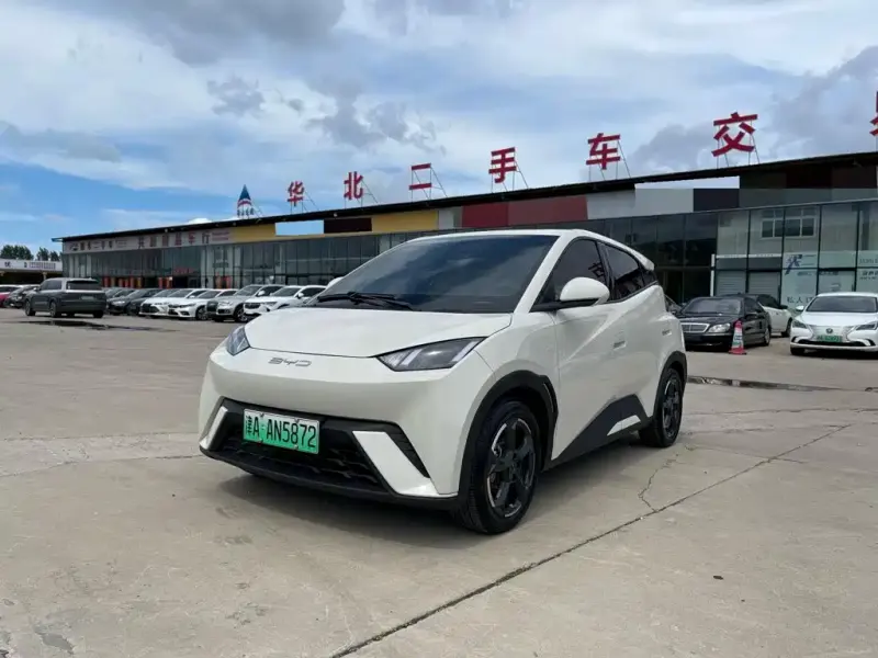 BYD Seagull, 2023