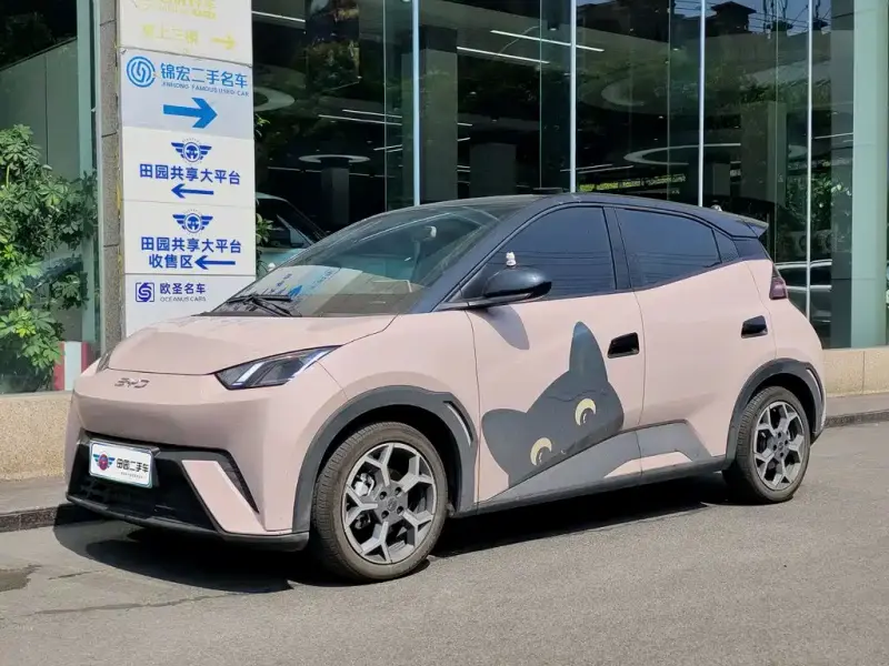 BYD Seagull, 2025