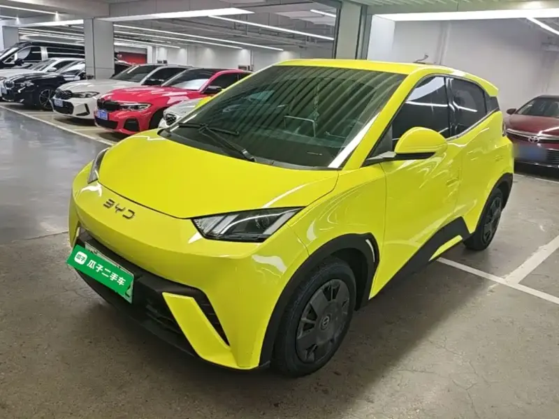 BYD Seagull, 2024