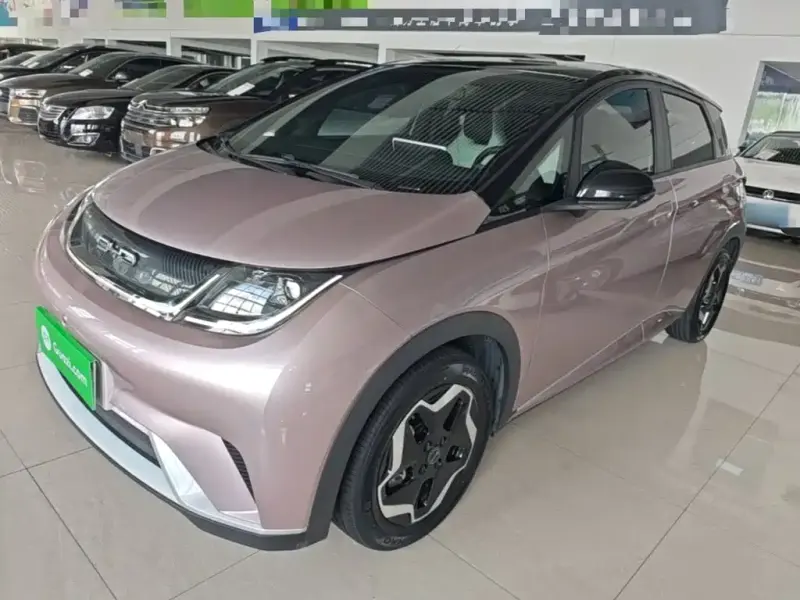 BYD Dolphin, 2022