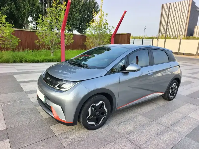 BYD Dolphin, 2022