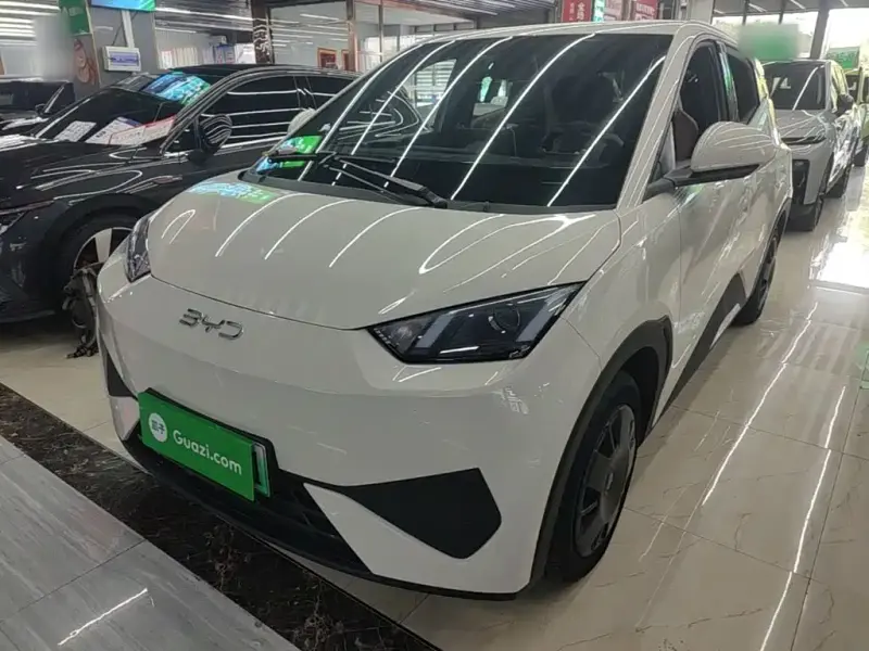 BYD Seagull, 2025