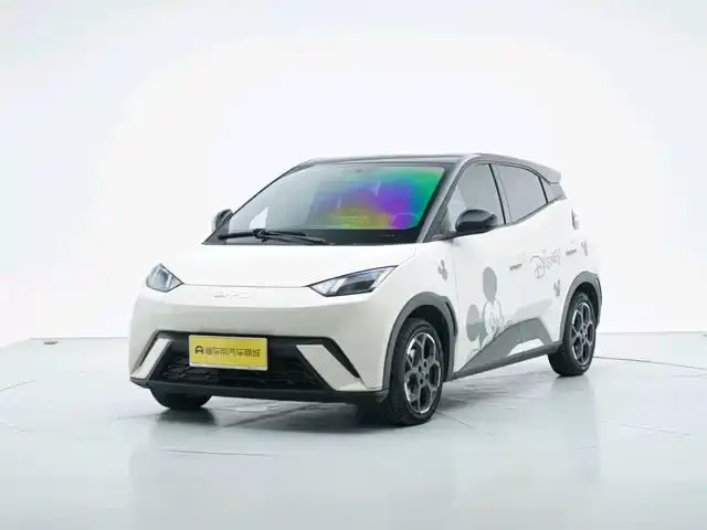 BYD Seagull, 2024