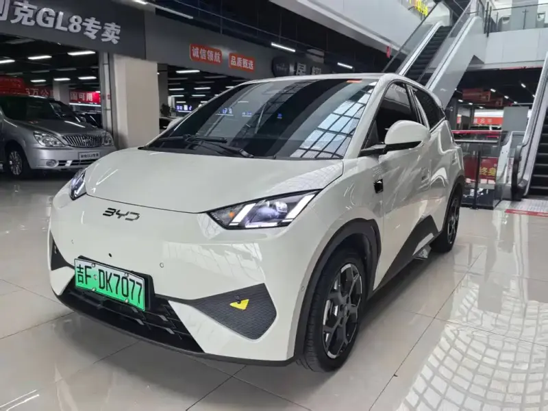 BYD Seagull, 2025