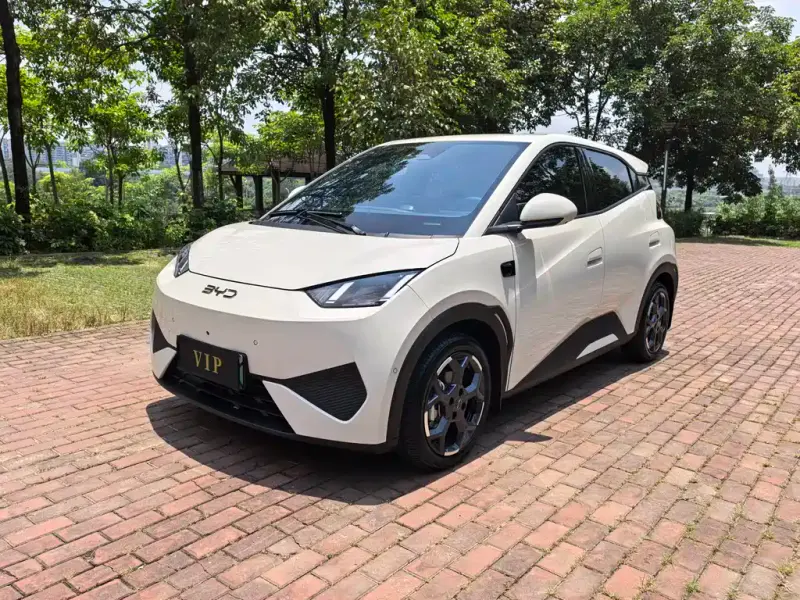 BYD Seagull, 2025