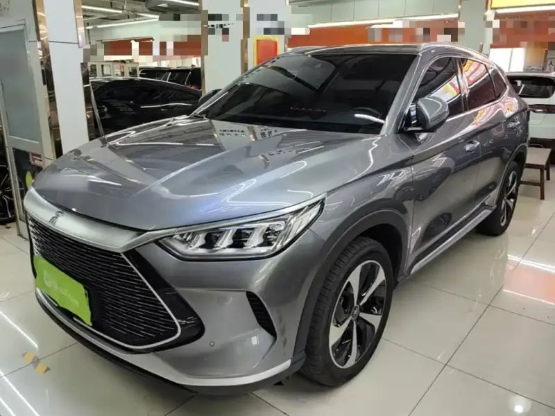 BYD PLUS New Energy, 2022