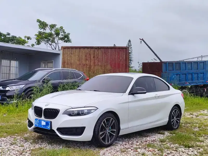 BMW 2 Series (Import), 2019
