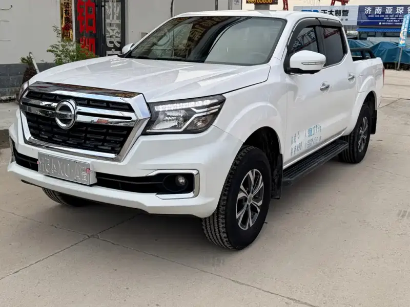 Dongfeng Rich 6, 2021
