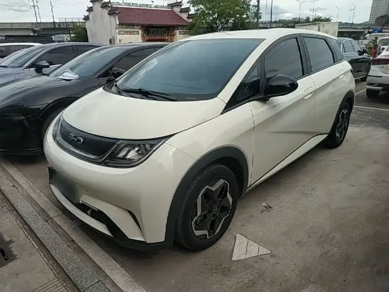 BYD Dolphin, 2024
