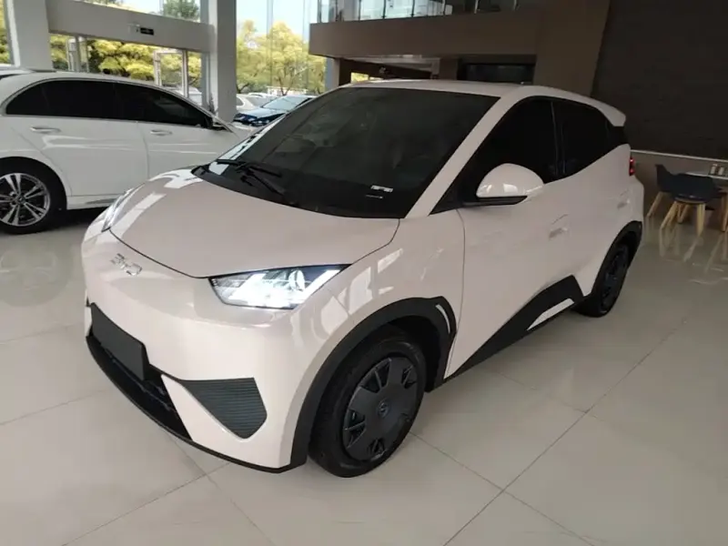 BYD Seagull, 2026