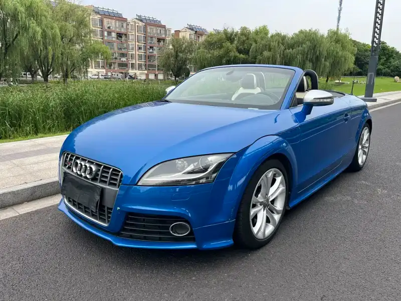 Audi TTS, 2010