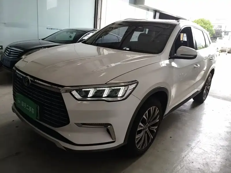 BYD Pro New Energy, 2020