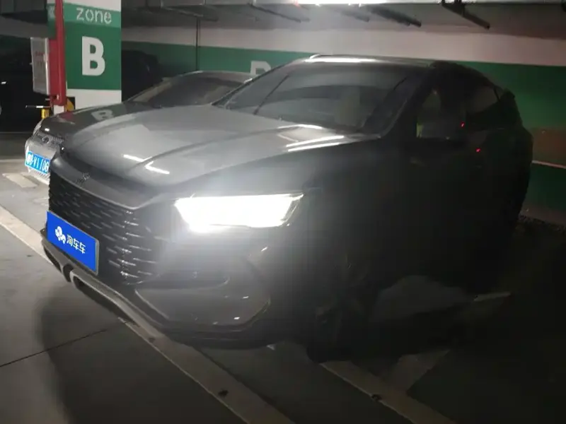BYD Pro New Energy, 2023