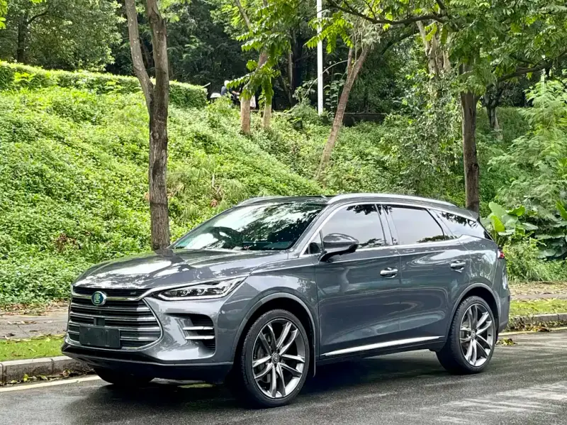 BYD Tang New Energy, 2020