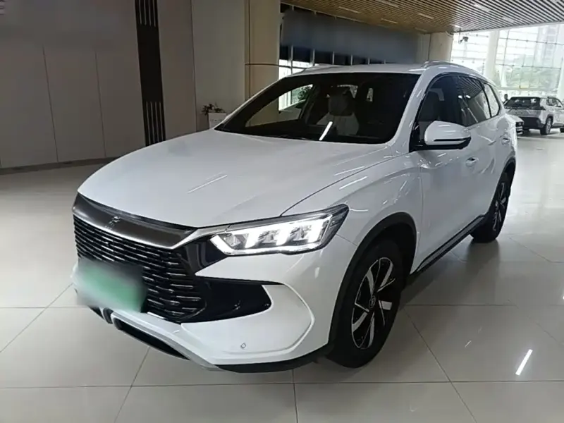 BYD Pro New Energy, 2024
