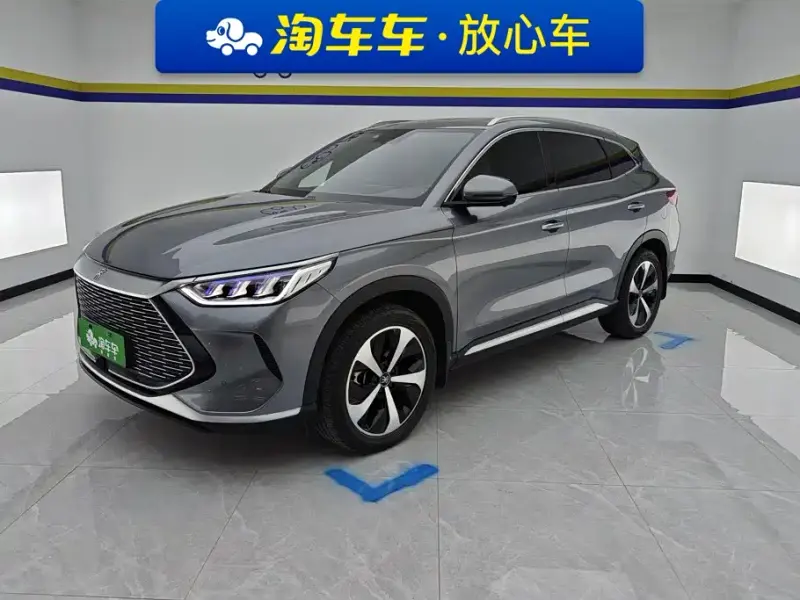BYD PLUS New Energy, 2021