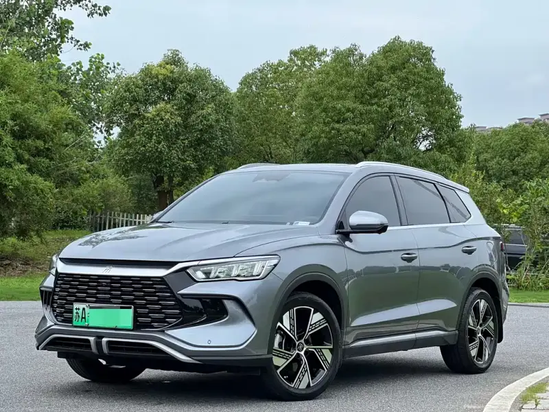 BYD Pro New Energy, 2024