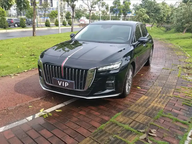 Hongqi H5, 2024