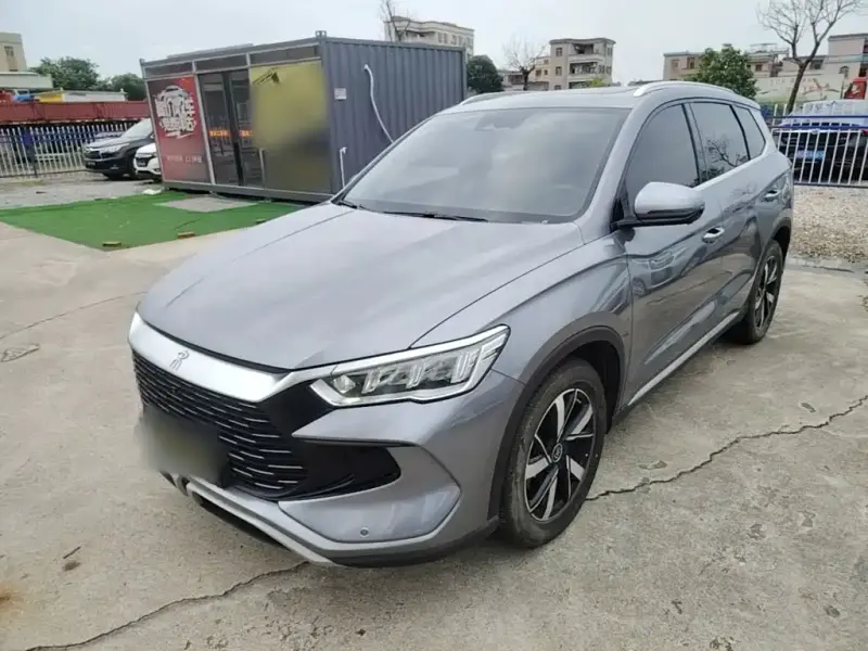 BYD Pro New Energy, 2024