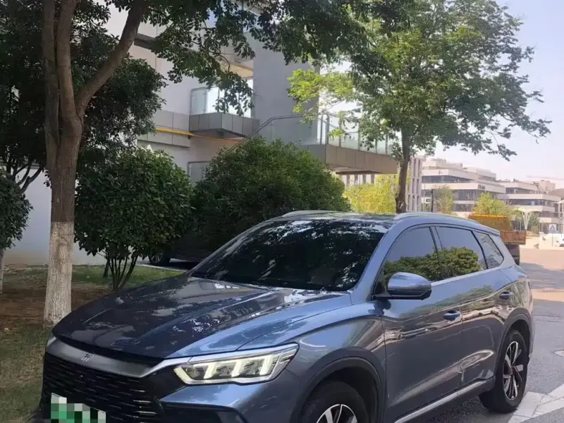 BYD Pro New Energy, 2024